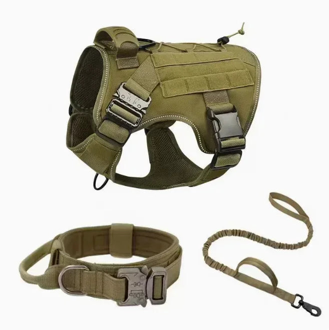 Harnais pour chien