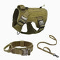 Harnais pour chien
