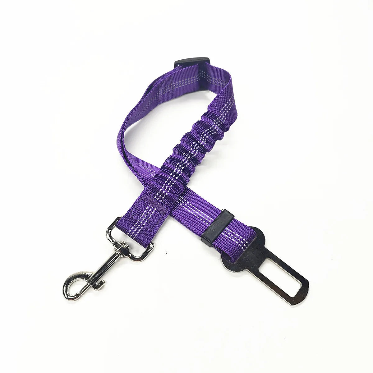 Laisse pour chien