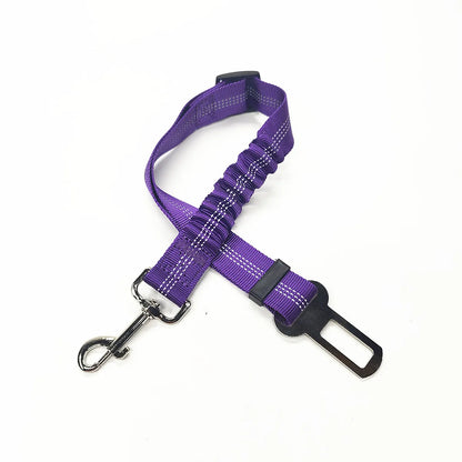 Laisse pour chien