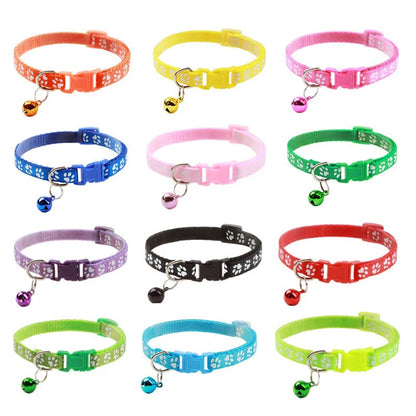 Collier pour chien et chat