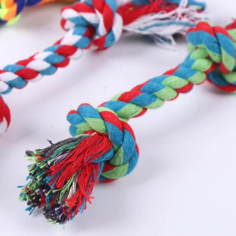 Jouet chien corde à mâcher