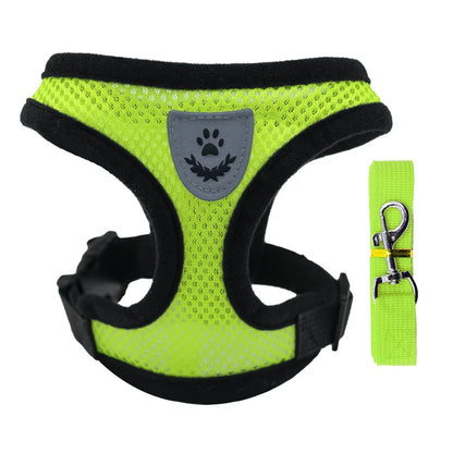 Harnais pour animaux de compagnie