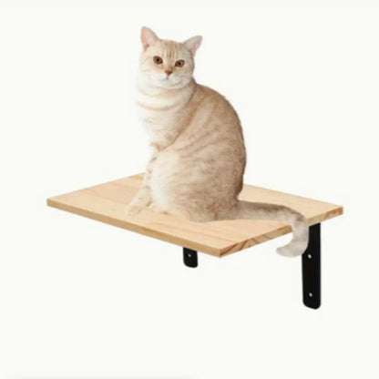 Jouet pour chat