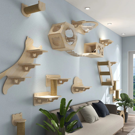 Jouets Pour Chats