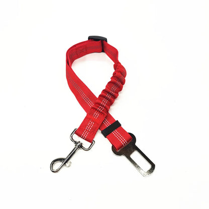 Laisse pour chien