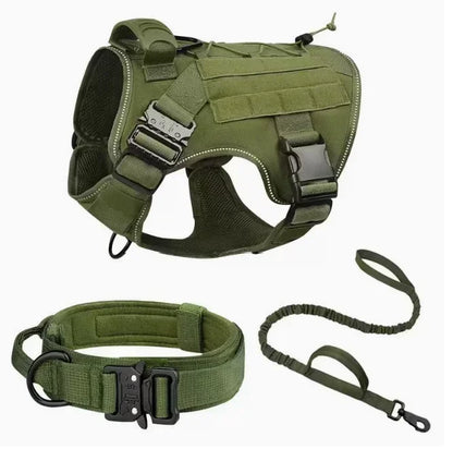 Harnais pour chien