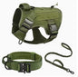 Harnais pour chien