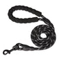 Laisse pour chien en nylon