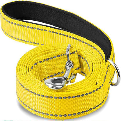Laisse Pour Chien  pliable