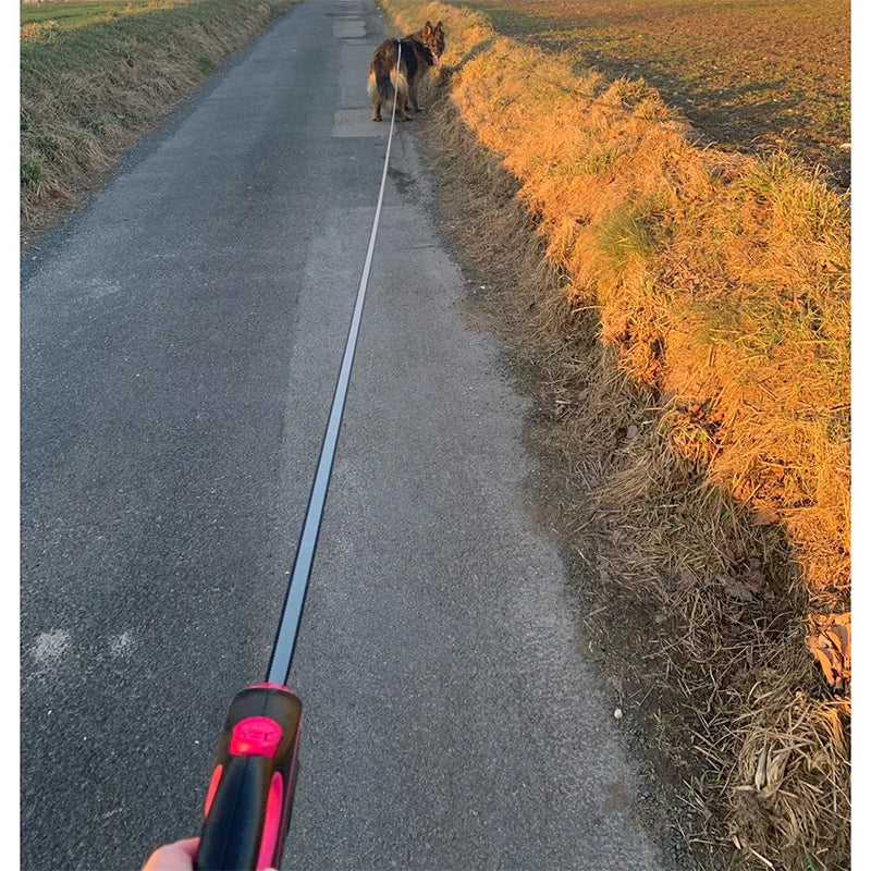 Laisse rétractable pour chien