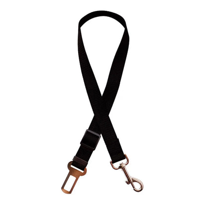 Laisse pour chien