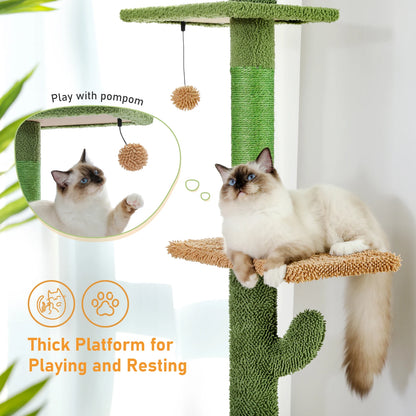 Arbre à chat cactus