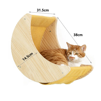 Jouets Pour Chats