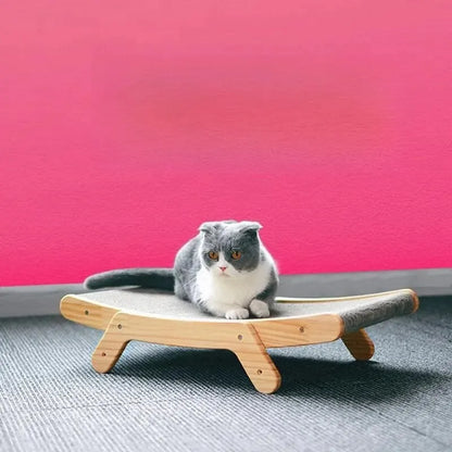 jouet pour chat