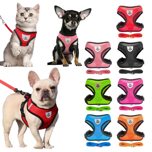 Harnais pour animaux de compagnie
