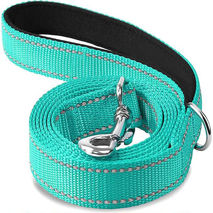 Laisse Pour Chien  pliable