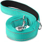 Laisse Pour Chien  pliable