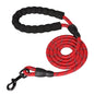 Laisse pour chien en nylon