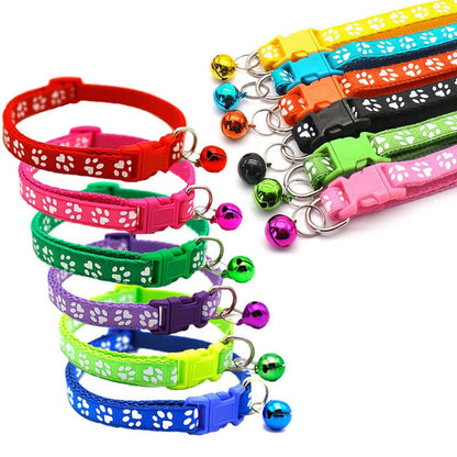 Collier pour chien et chat