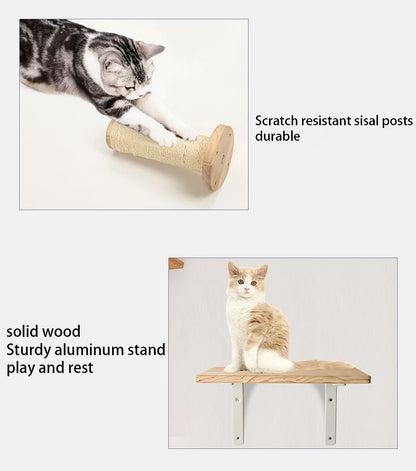 Jouets Pour Chats