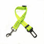 Laisse pour chien