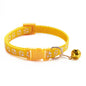 Collier pour chien et chat