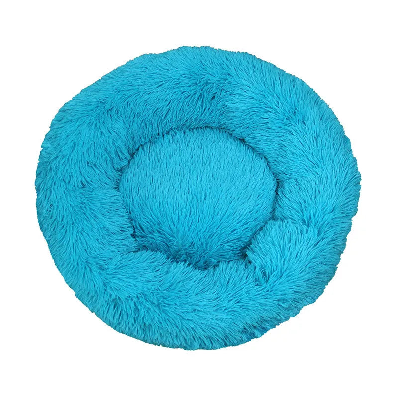 lit pour chien