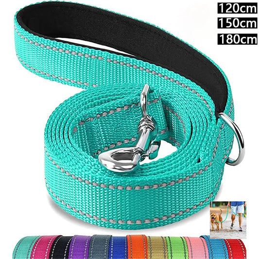 Laisse Pour Chien  pliable