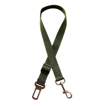 Laisse pour chien