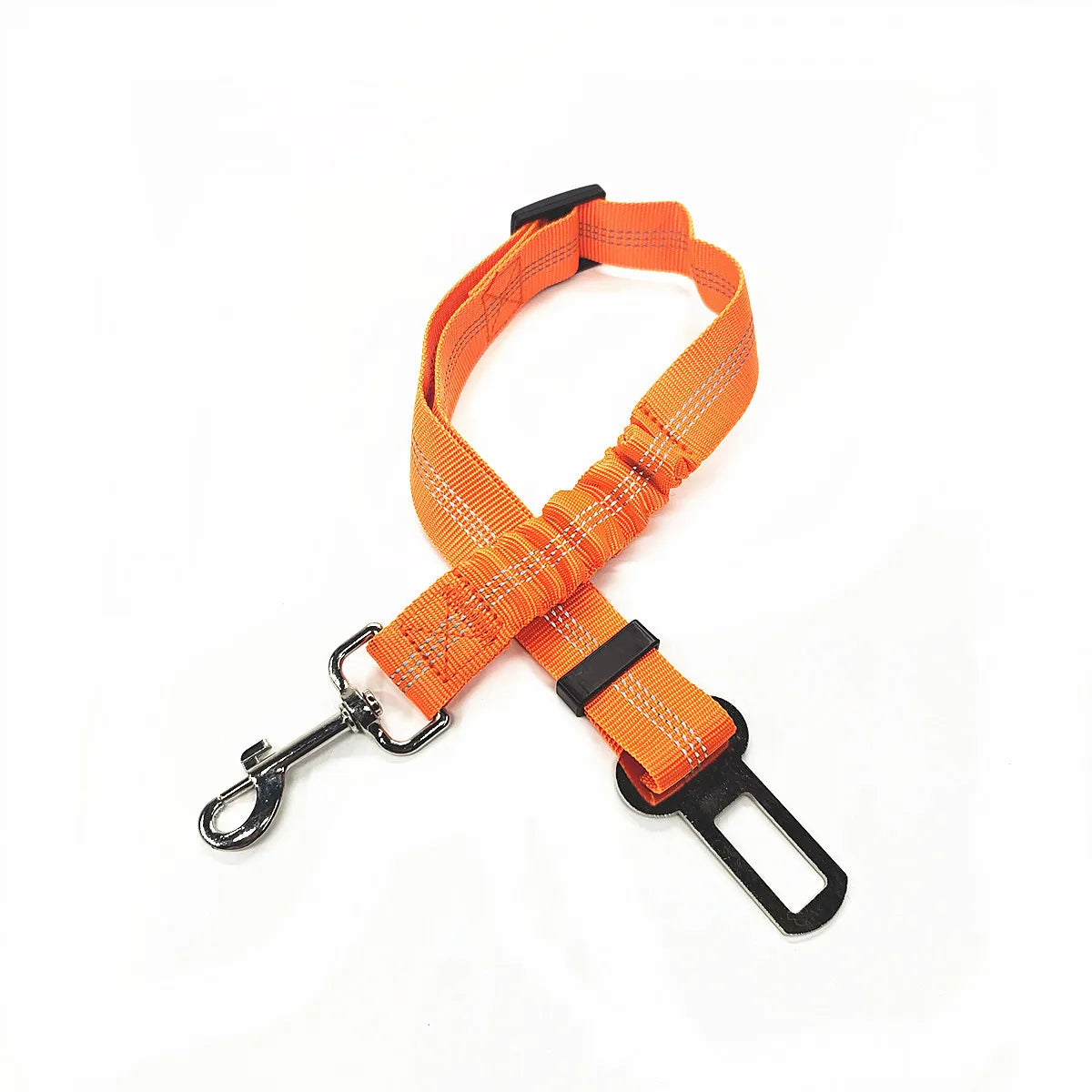 Laisse pour chien