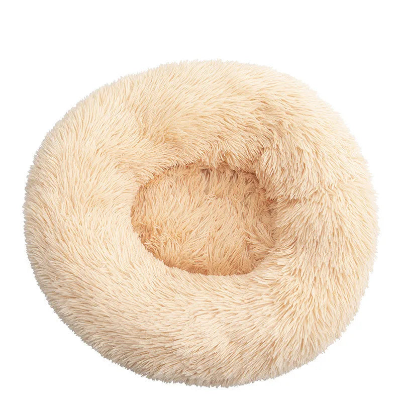 lit pour chien