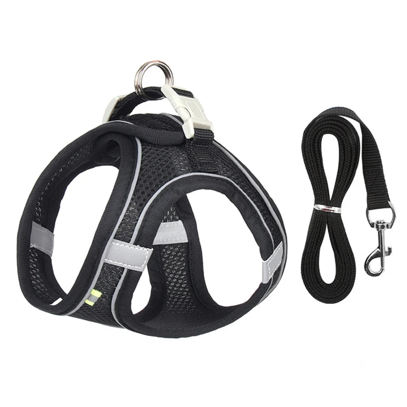 Harnais pour chien