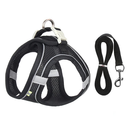 Harnais pour chien