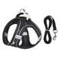 Harnais pour chien