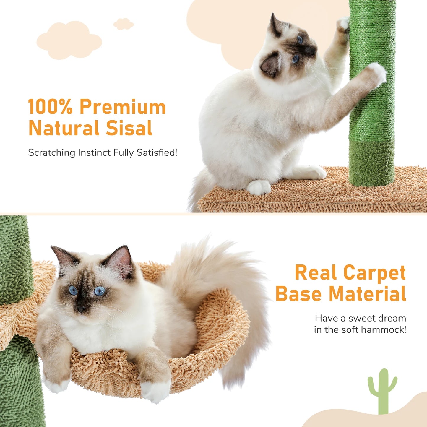 Arbre à chat cactus