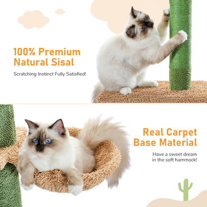 Arbre à chat cactus