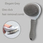 Brosse à poils pour chien et chat