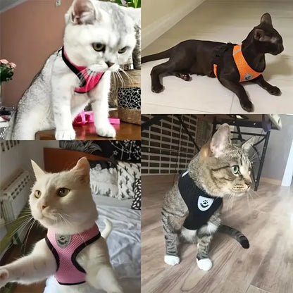 Harnais pour animaux de compagnie