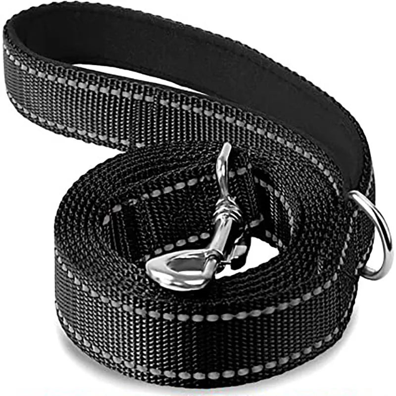 Laisse Pour Chien  pliable