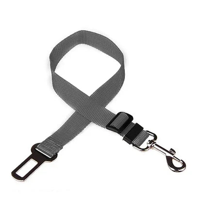 Ceinture de sécurité pour animaux de compagnie