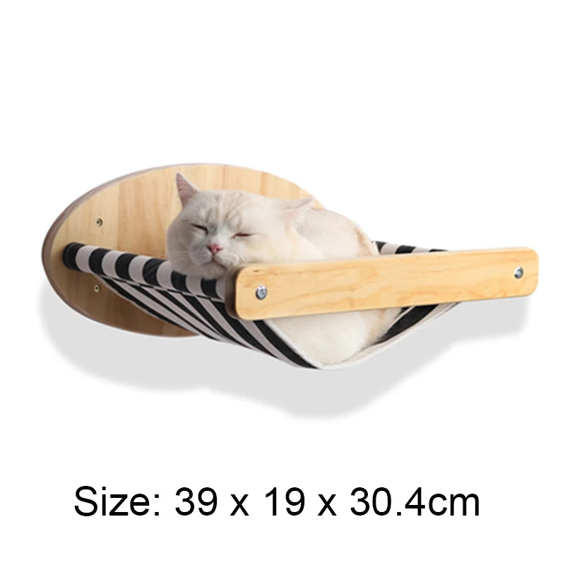 Jouets Pour Chats