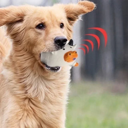 Jouet pour chien