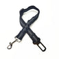Laisse pour chien