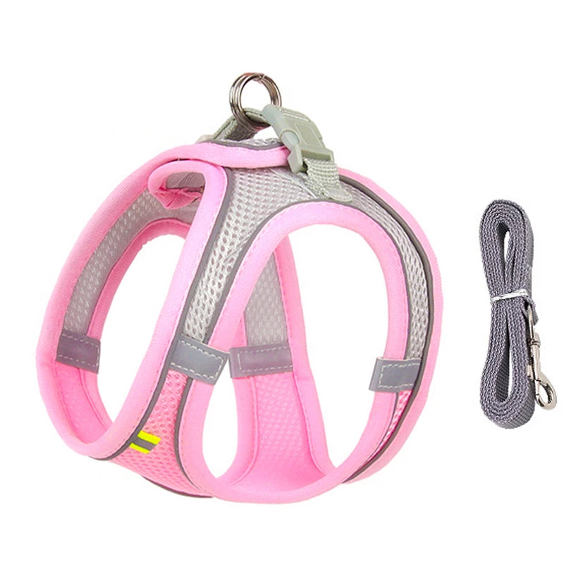 Harnais pour chien