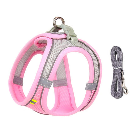 Harnais pour chien