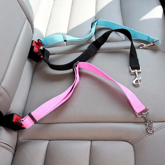 Ceinture de sécurité pour animaux de compagnie