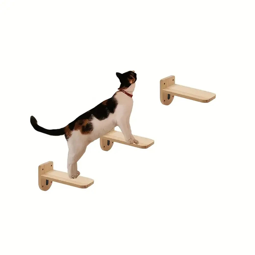 Jouet pour chat
