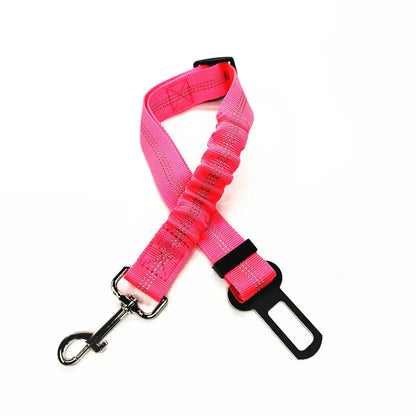 Laisse pour chien