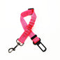Laisse pour chien